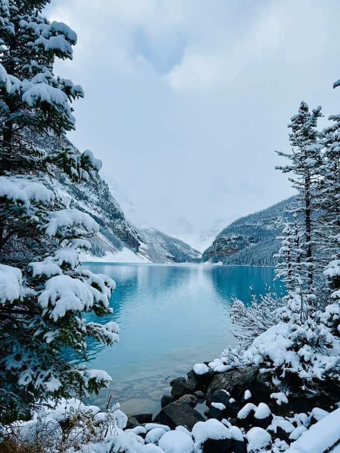 Calgary, Banff: Lake louise , Moraine ,Emerald Lake day Tour - A big Rockies day for a small price