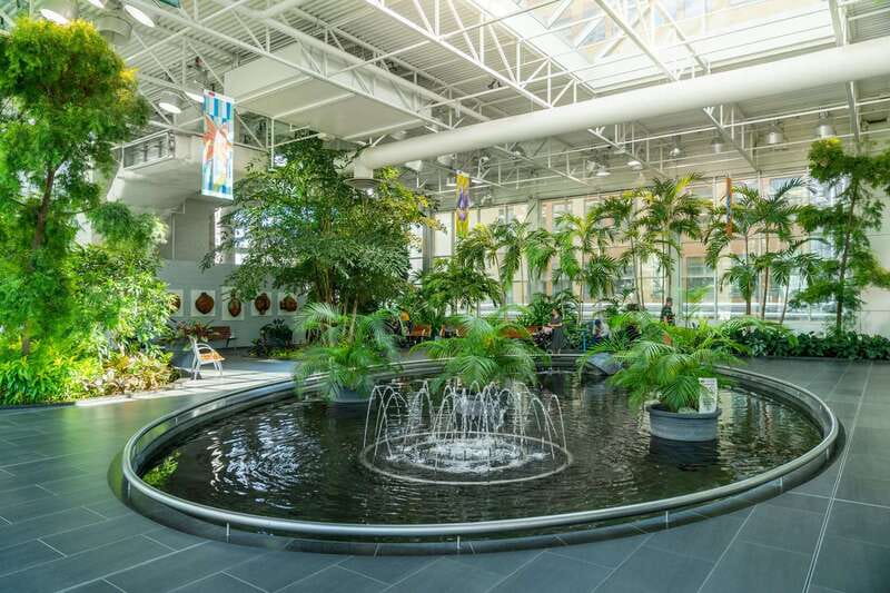 Calgary: City Highlights Walking Tour | 3-Hour - Meeting at The Edison and starting on Stephen Avenue