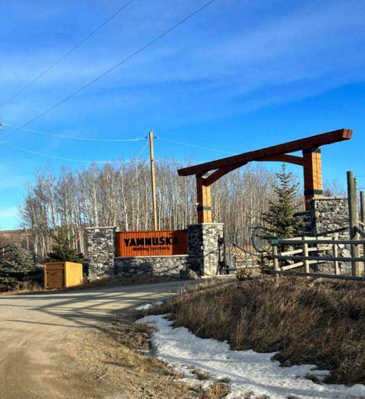Calgary City Tour & Yamnuska Wolfdog Sanctuary Private Tour - Scotsman’s Hill for the Calgary skyline