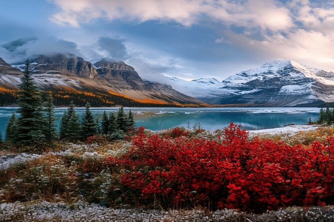 Calgary: Columbia Icefield Adventure, Skywalk and Peyto Lake Tour - Peyto Lake delivers the signature view