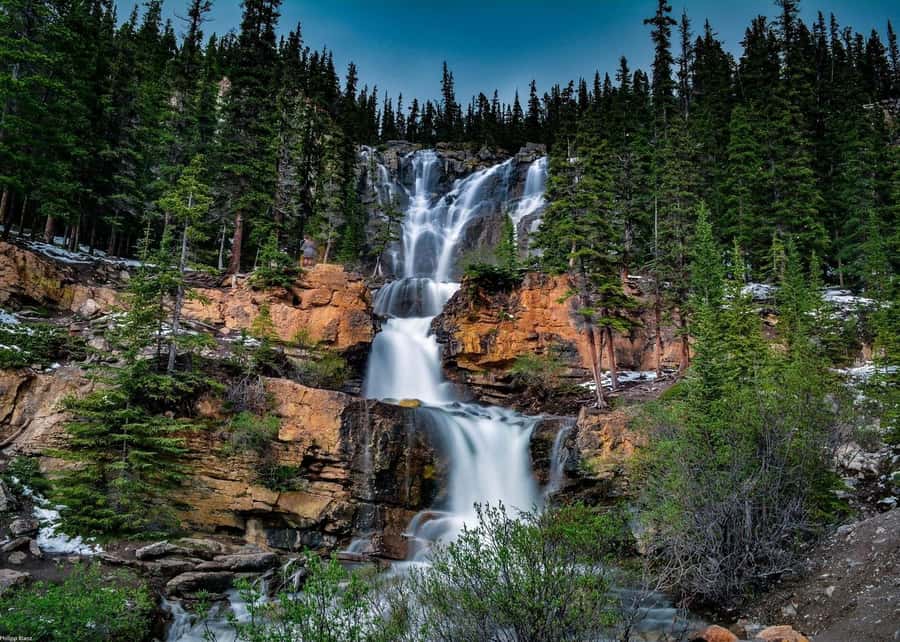 Calgary: Day Trip to Jasper with Lunch - Peyto Lake and the famous blue water