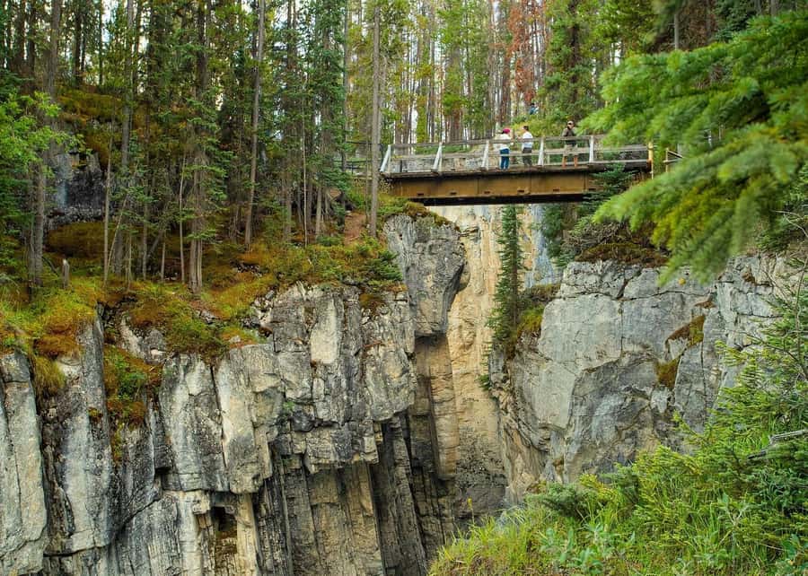 Calgary: Day Trip to Jasper with Lunch - What the guides add to the day