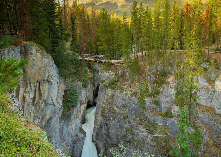 Calgary: Day Trip to Jasper with Lunch - Is $110 a good value?