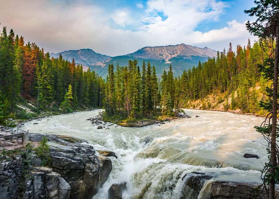 Calgary: Day Trip to Jasper with Lunch - Athabasca Glacier, ancient ice within reach