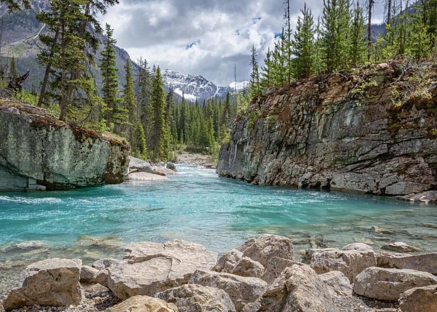 Calgary: Radium Hot Springs & Marble Canyon Day Trip - Crossing Marble Canyon’s seven bridges