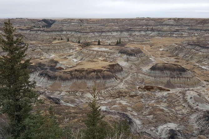 Calgary to Royal Museum | Drumheller – PRIVATE TOUR - Horsethief Canyon and the Red Deer River country