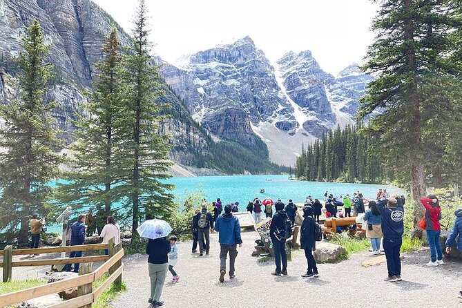 Calgary YYC Airport to Banff Hotels (Shared Shuttle Bus) - From YYC arrivals to the Pillar 15 pickup