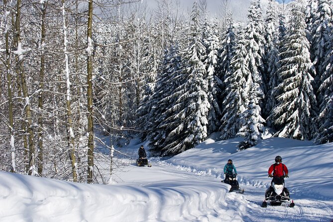 Callaghan Cruiser Snowmobile Tour - The return ride and the real time you get