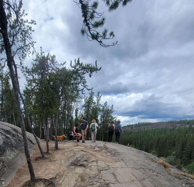 Cameron Falls Waterfall Tour - Simple preparation for a better outing