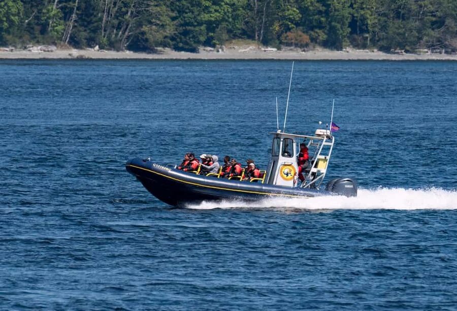 Campbell River: 4 Hour Whale & Wildlife Zodiac Boat Tour - Why the route matters