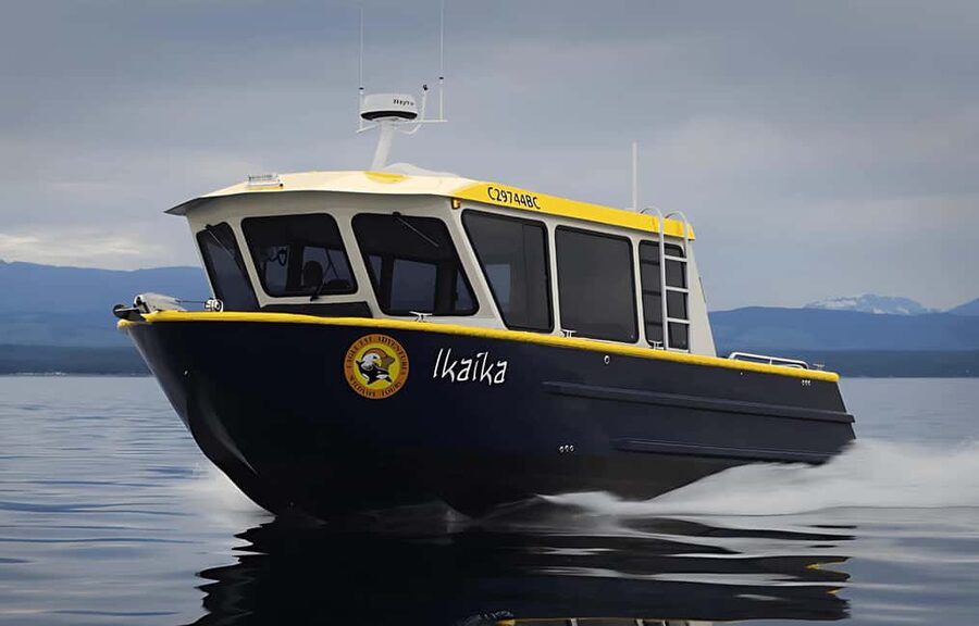 Campbell River: 6 Hour Covered Whale Watching Tour w/ Lunch - Hearing whales with the onboard hydrophone