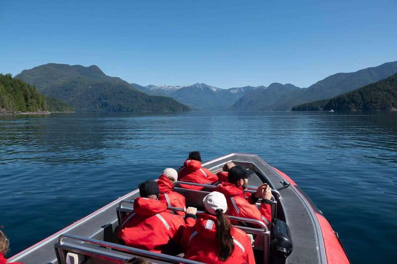 Campbell River: 6-Hour Whale Watching Boat Tour - What $245 Buys You