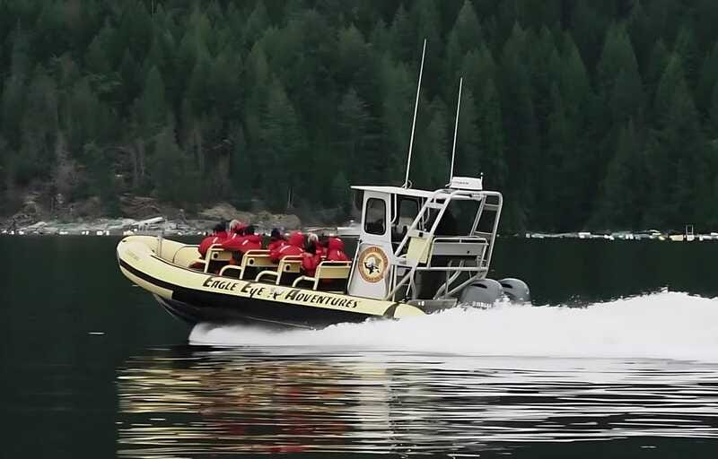 Campbell River: 6 Hour Zodiac Whale Watching Tour w/ Lunch - Is $261 a fair price for six hours?