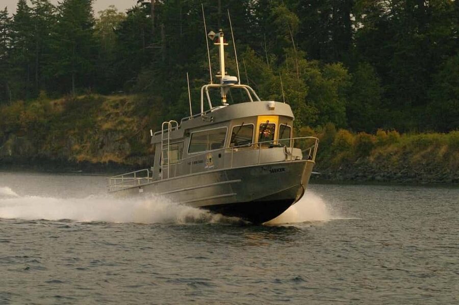 Campbell River: 7-Hour Big Animal Encounter Boat Tour - Key points before you book
