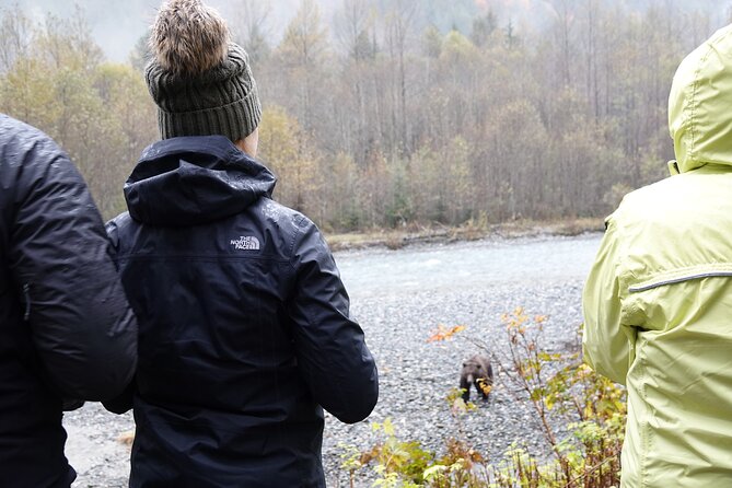 Campbell River: Bute Inlet Grizzly-Watching Tour & Boat Ride - The return cruise adds value to the price