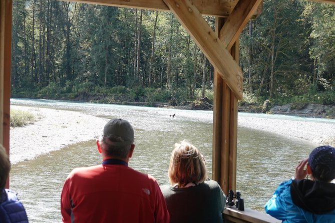 Campbell River: Bute Inlet Grizzly-Watching Tour & Boat Ride - Leaving Campbell River through the Discovery Islands