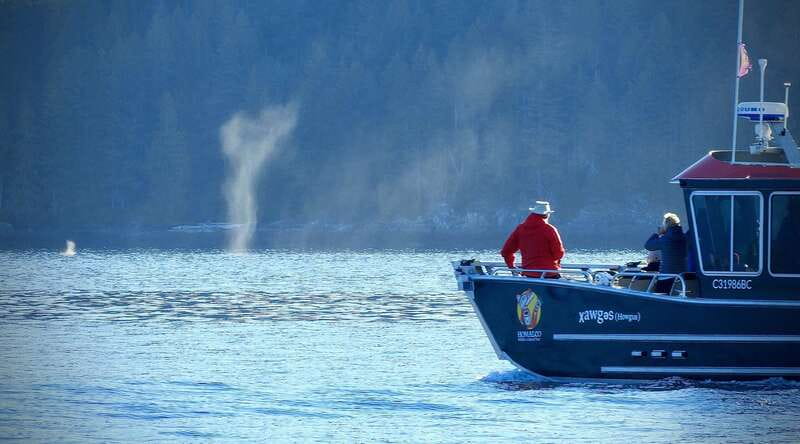 Campbell River: Grizzly Bear-Watching Tour with Lunch - From Campbell River to the mouth of Bute Inlet