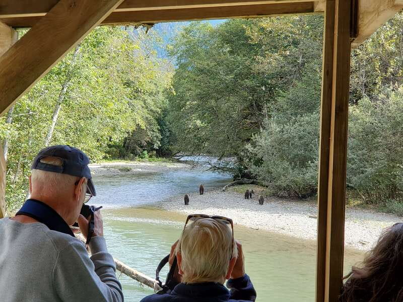Campbell River: Grizzly Bear-Watching Tour with Lunch - Three hours at Orford Bay bear-viewing sites