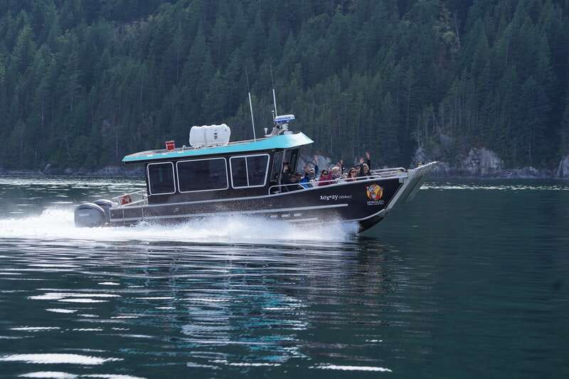 Campbell River: Grizzly Bear-Watching Tour with Lunch - Picking the best month for bears and weather