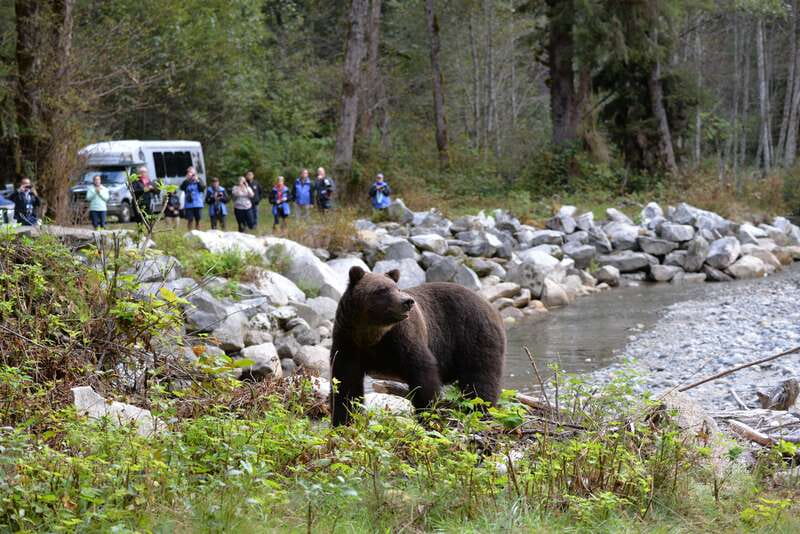 Campbell River: Grizzly Bear-Watching Tour with Lunch - Entering Homalco territory with a First Nation guide