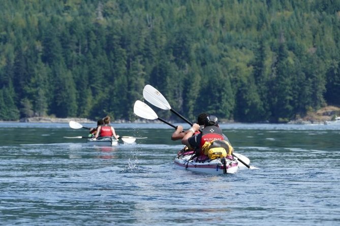 Campbell River: Kayaking and Whale Watching Tour - Key points at a glance