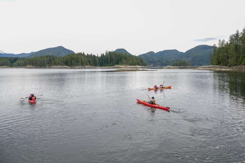 Campbell River: Kayaking and Whale Watching Tour - Lunch, hot drinks, and practical comfort