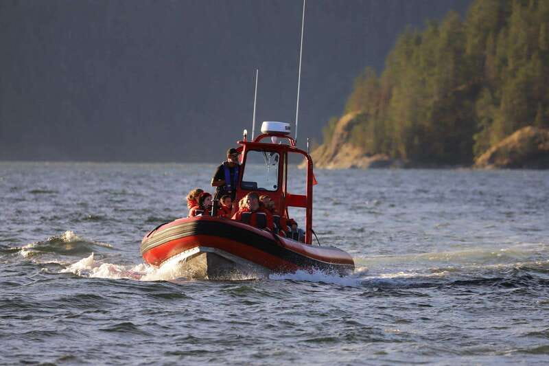 Campbell River: Whale & Wildlife Discovery Cruise - The wildlife you might actually see