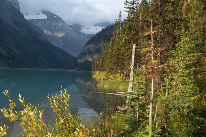 Canadian Rockies Golden Hour Tour | Lunch Included - Bow Lake at first light
