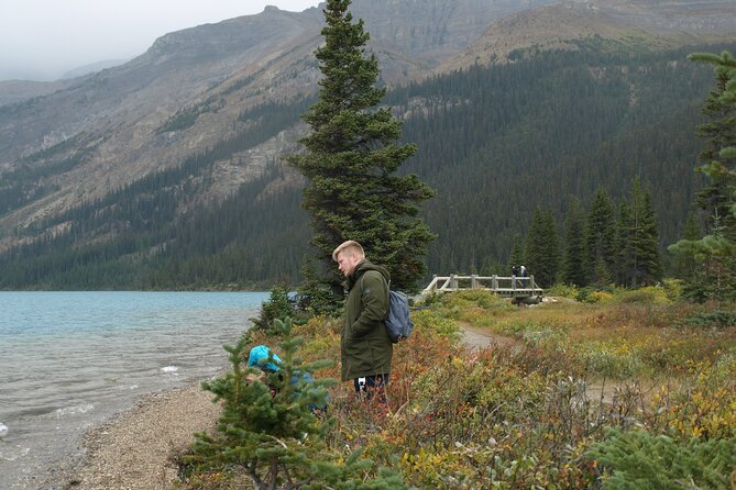 Canadian Rockies Golden Hour Tour | Lunch Included - Abraham Lake and an ancient limber pine