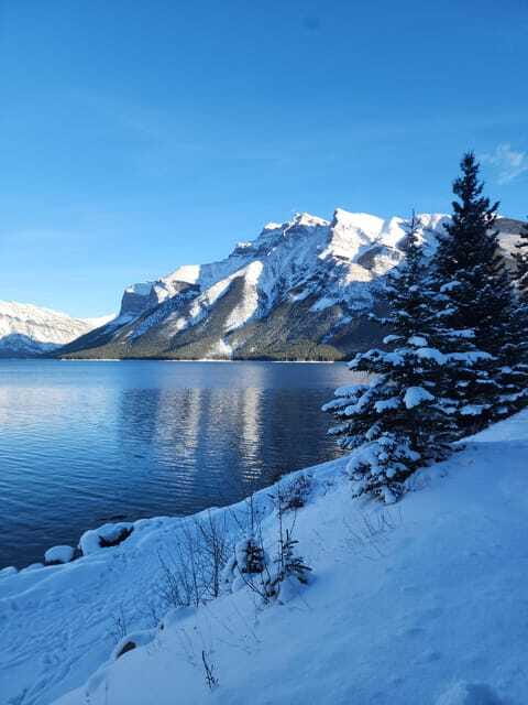 Canmore/Banff: Explore Banff & Wildlife - Bow Falls: a short stop with a strong payoff
