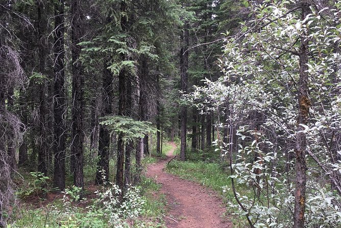 Canmore Cowboys and Coal Miners History Tour - 2H Walk - Who will enjoy this walk most?