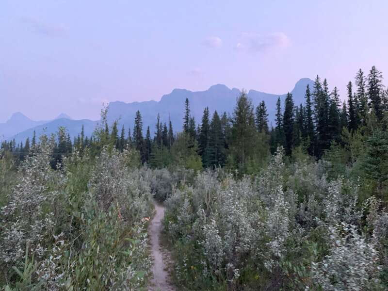 Canmore: PRIVATE SAFARI Drive to BANFF Park & Nature Walk - Should you book the private safari?