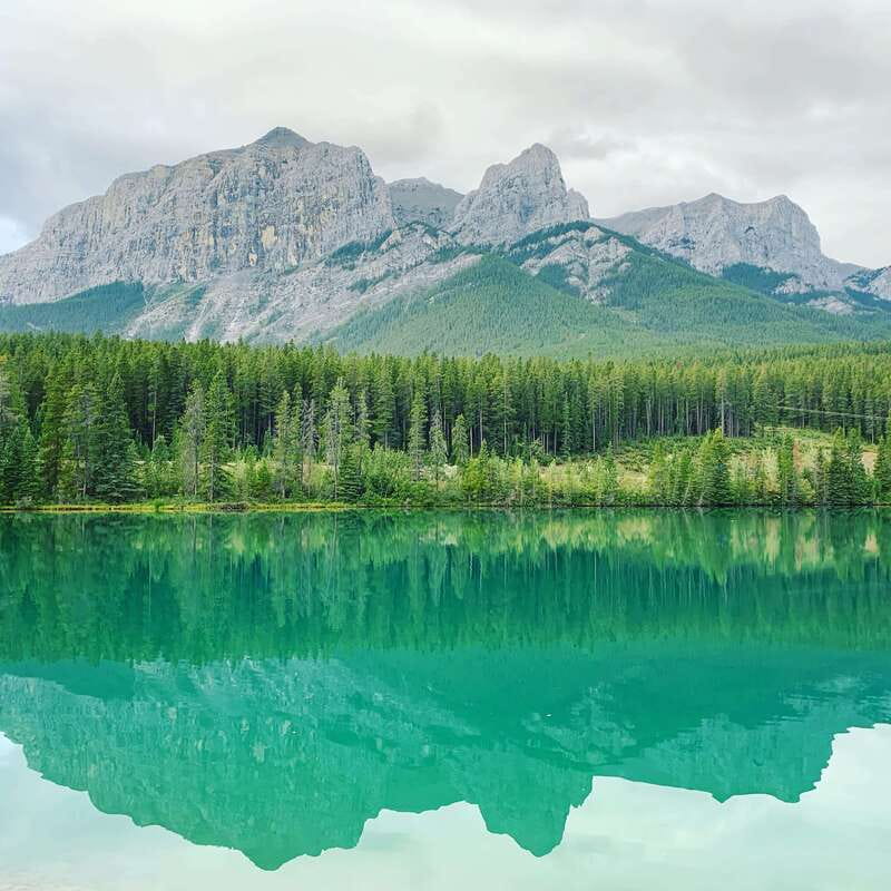 Canmore: PRIVATE SAFARI Drive to BANFF Park & Nature Walk - A private route from Canmore into Banff National Park