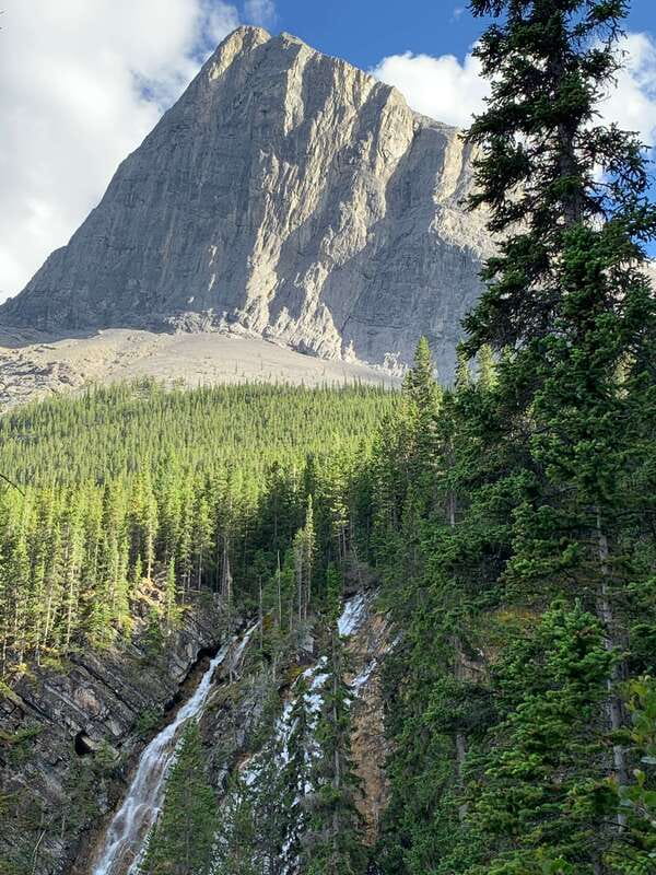 Canmore: PRIVATE SAFARI Drive to BANFF Park & Nature Walk - Value at $438 for up to four people
