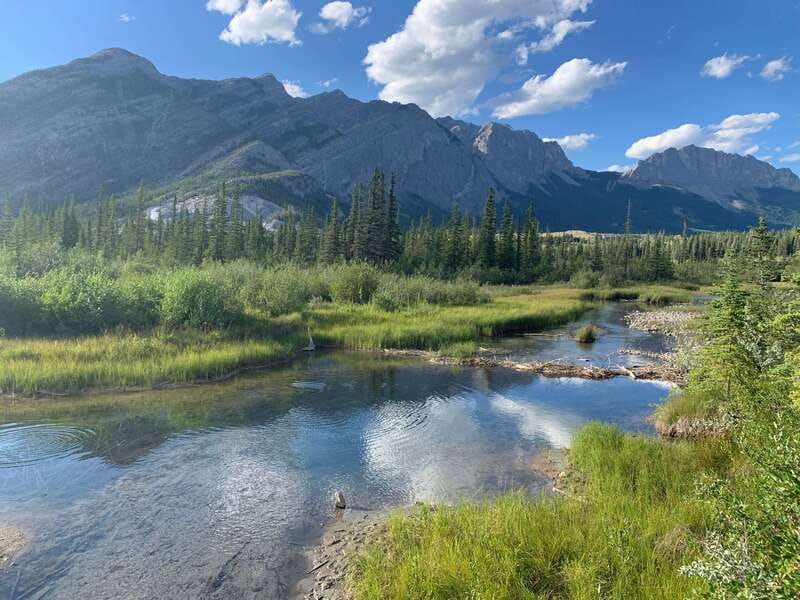 Canmore: PRIVATE SAFARI Drive to BANFF Park & Nature Walk - Mountain views and wildlife from the road