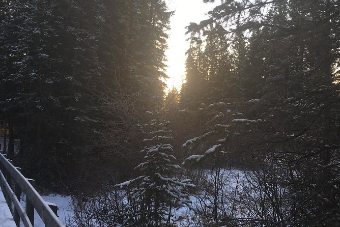 Canmore: Stargazing and Nature by Nightfall Walking Tour - 2hr - What to bring and how to prepare
