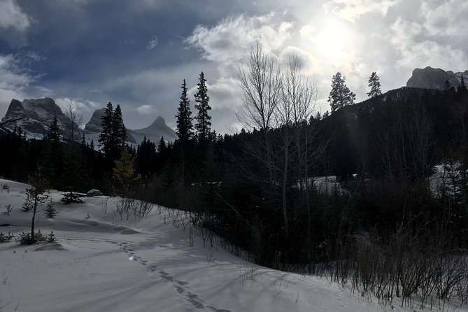 Canmore: Stargazing and Nature by Nightfall Walking Tour - 2hr - A guide-led evening, not a promise of perfect stars