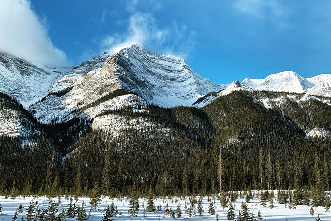 Canmore: Wilderness & Wildlife Tour - 2hr Walk - Guides who make the difference