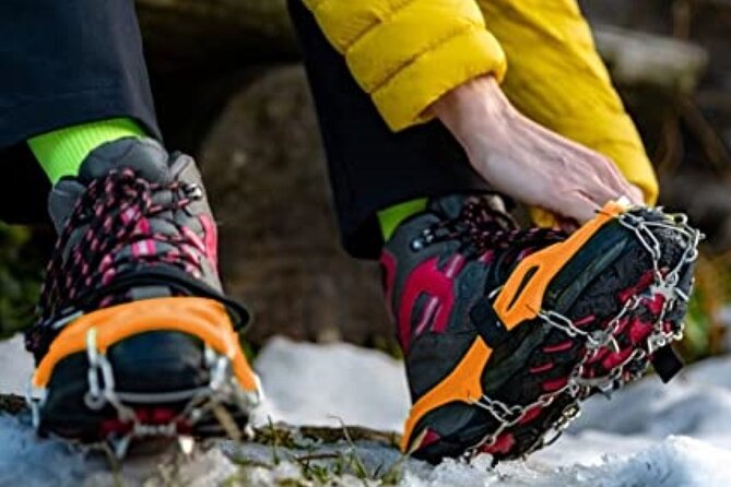 Canmore: Wilderness & Wildlife Tour - 2hr Walk - How the $90.07 price earns its keep