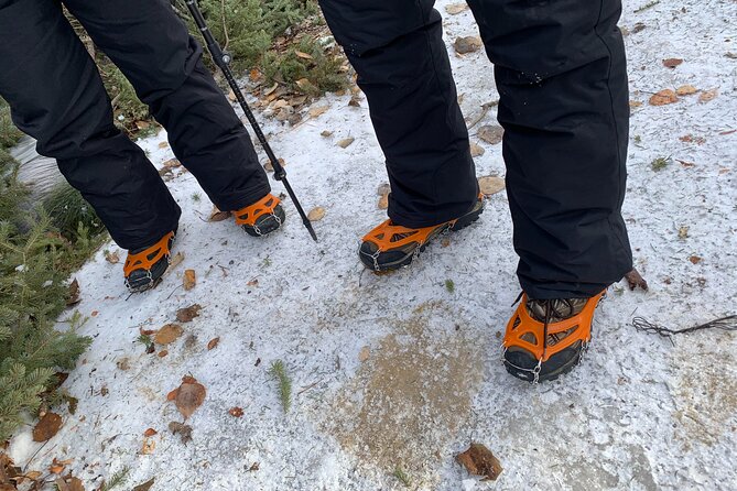 Canmore: Wilderness & Wildlife Tour - 2hr Walk - Who will enjoy it most