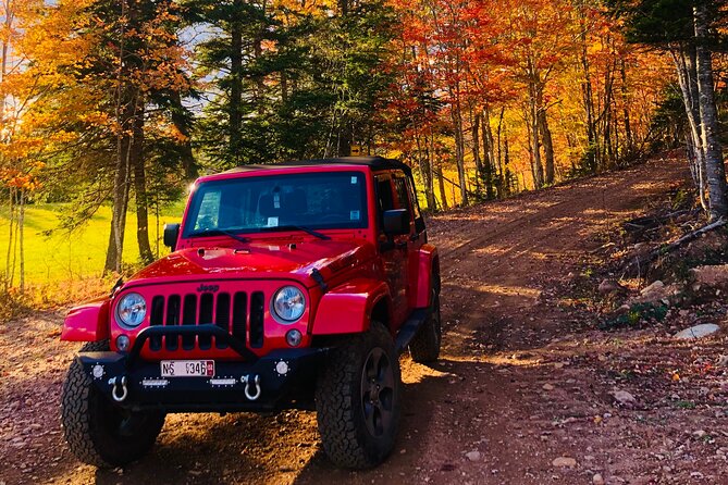 Cape Breton Jeep Adventure (4hr) - Why this Jeep ride feels different from a Cabot Trail tour
