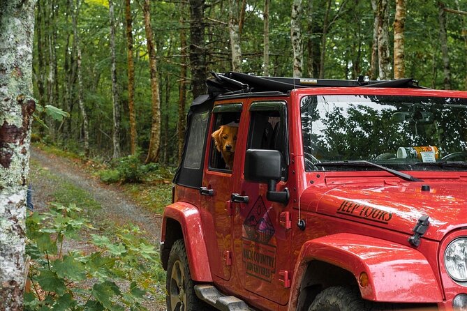 Cape Breton Scenic Jeep Adventure - Timing, meeting point, and practical comfort