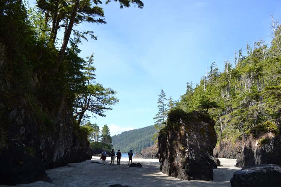Cape Scott: San Josef Bay Day Hike with Scenic Drive - A gentle trail through old-growth forest