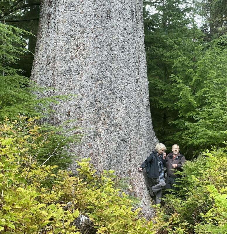 Cape Scott: San Josef Bay Day Hike with Scenic Drive - Tidal pools reward a slower look