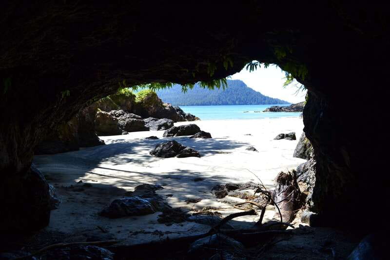 Cape Scott: San Josef Bay Day Hike with Scenic Drive - What the guide adds to the day