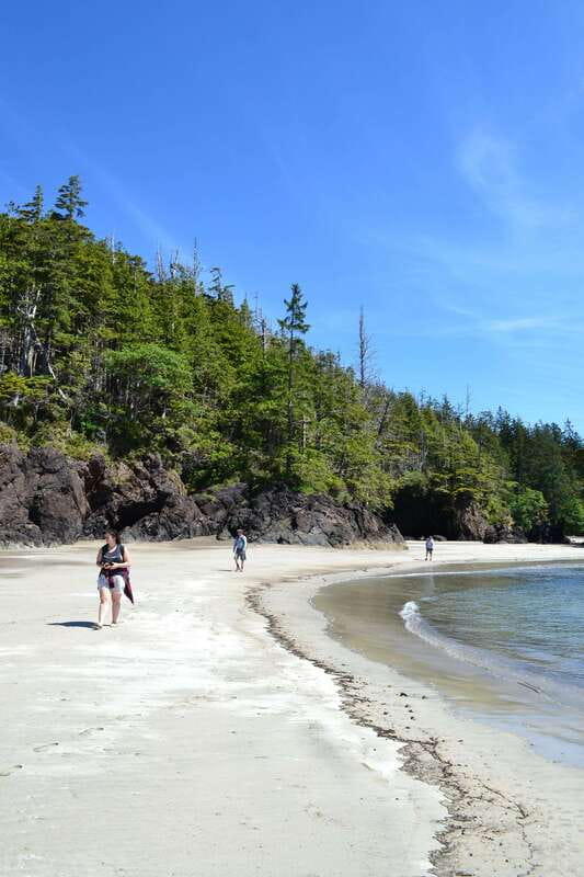 Cape Scott: San Josef Bay Day Hike with Scenic Drive - Who will enjoy this Cape Scott day trip?