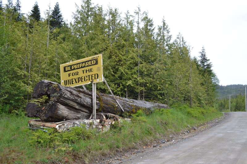 Cape Scott: San Josef Bay Day Hike with Scenic Drive - Should you book the San Josef Bay hike?
