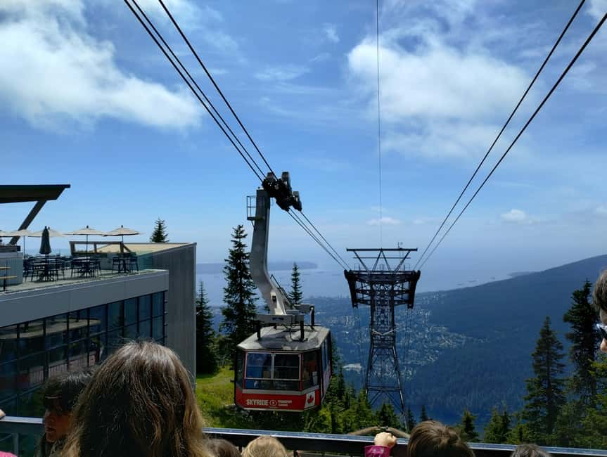 Capilano Br+Grouse Mtn+Dam+Lake&Hatcher/5in1/Small Group/Car - Grouse Mountain: bears, shows, and a disputed transport detail