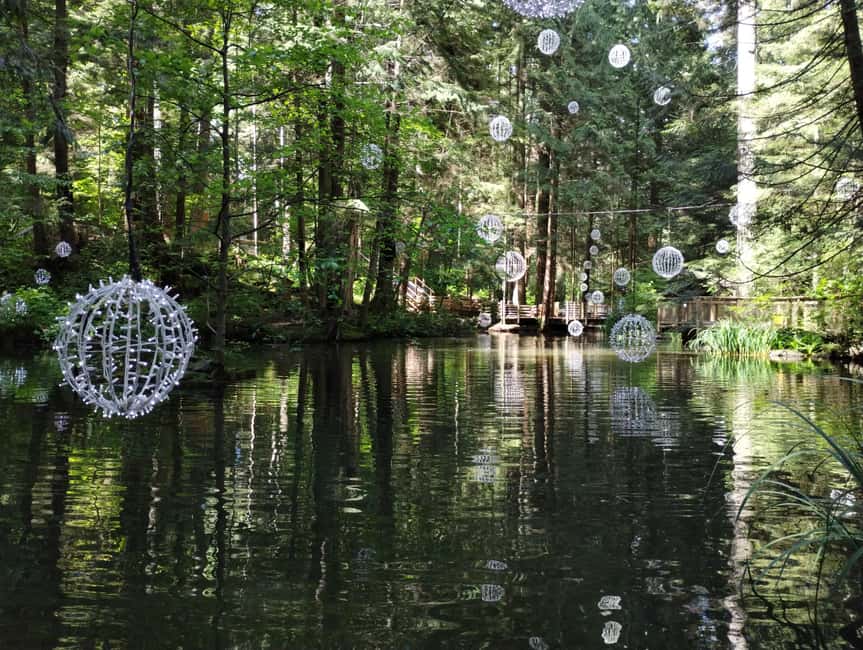 Capilano Br+Grouse Mtn+Dam+Lake&Hatcher/5in1/Small Group/Car - Who should book this five-stop tour?