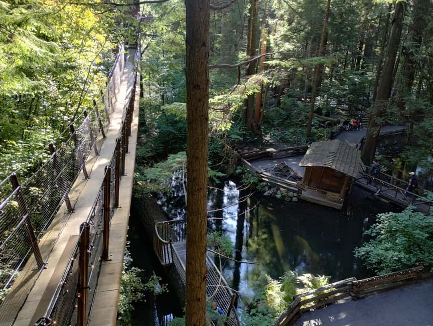 Capilano Suspension Br+Lake+Dam+Hachery/4in1/CAR/Small GROUP - Cliffwalk above Capilano Canyon